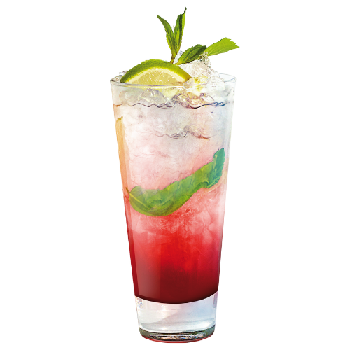 Raspberry Vodka Mojito